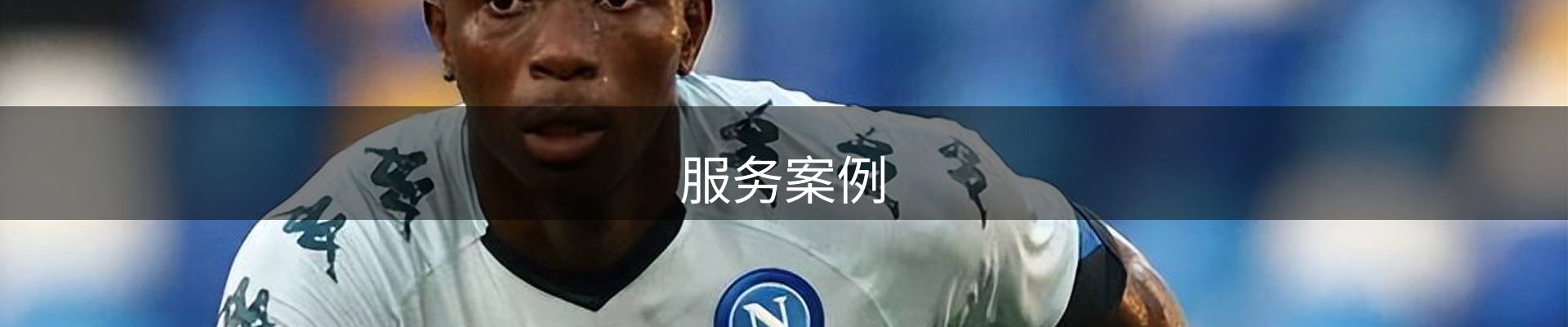 服务案例